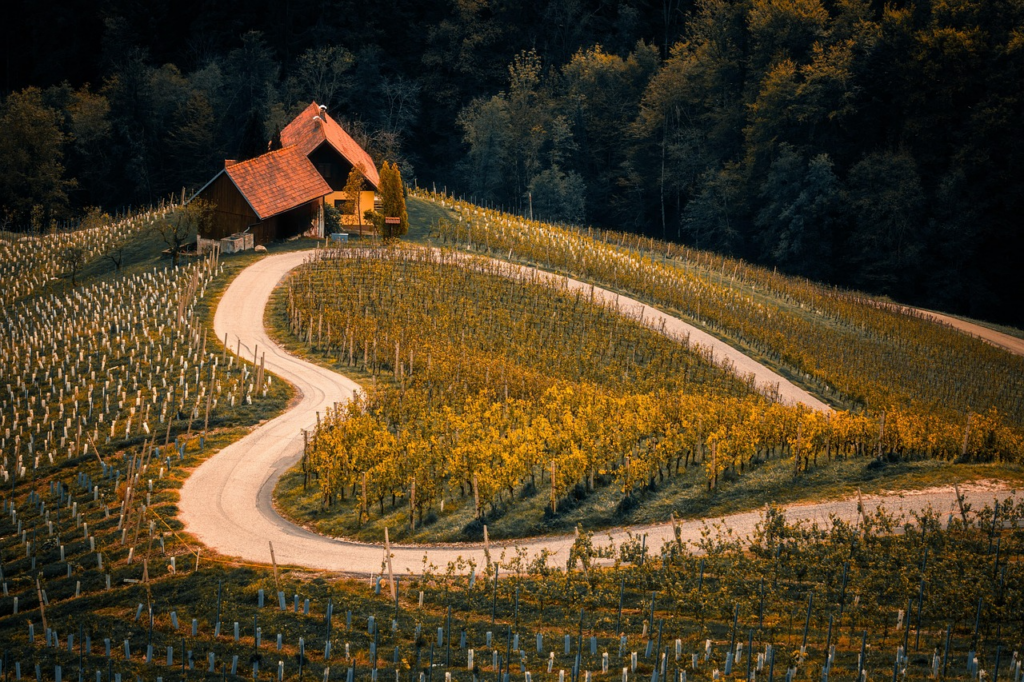 Granja, enoturismo en transporte privado